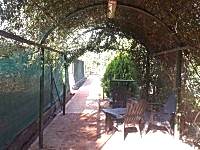Arcada verde