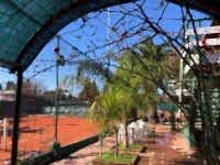 Parque Tenis Club